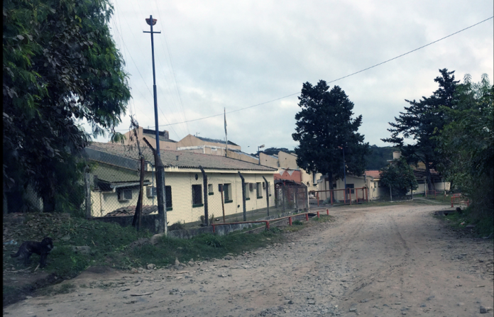 Timbó Celusal Tucumán