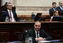 Adorni en el Congreso: presentó su gestión con el respaldo de Milei