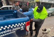Robo en un local de Alberdi: el dueño del negocio persiguió a los ladrones y redujo a uno de los sospechosos