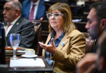 El Senado debate la reforma de la Ley de Salud Mental: los cambios clave Senado de la Nación